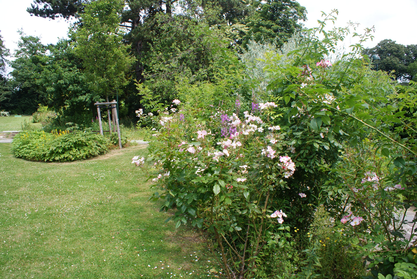 Photos